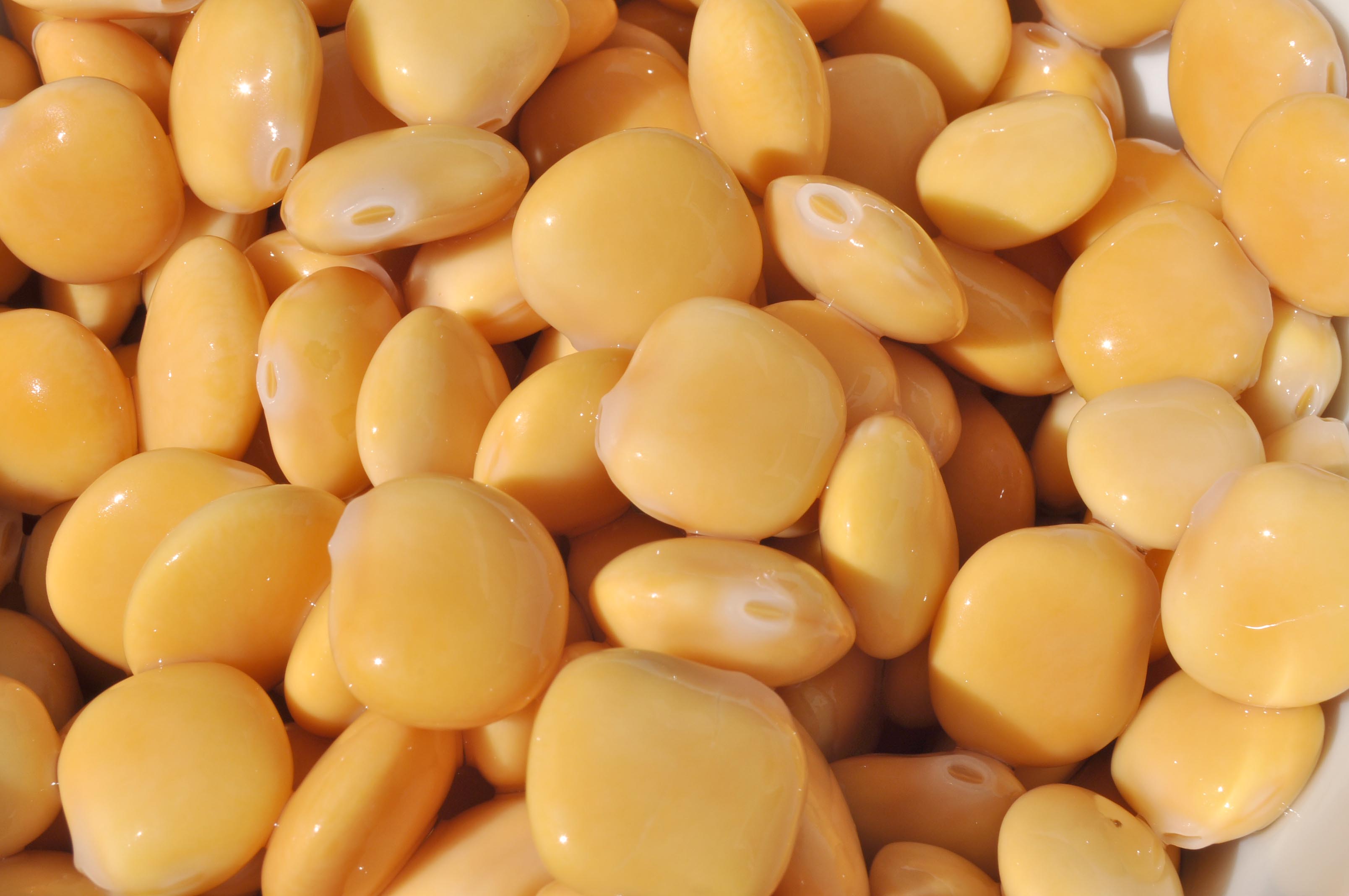 Produtos em Desenvolvimento