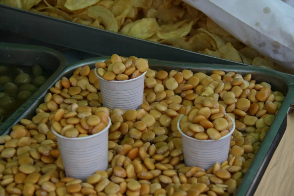 Tremoços - lupini beans